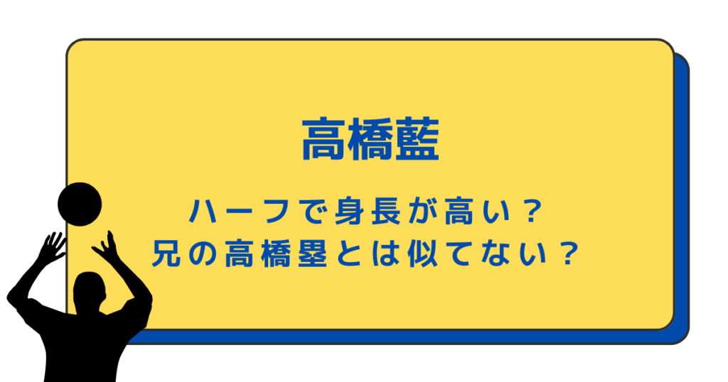 高橋藍はハーフだから身長が高い？兄の高橋塁とは似てないって本当？