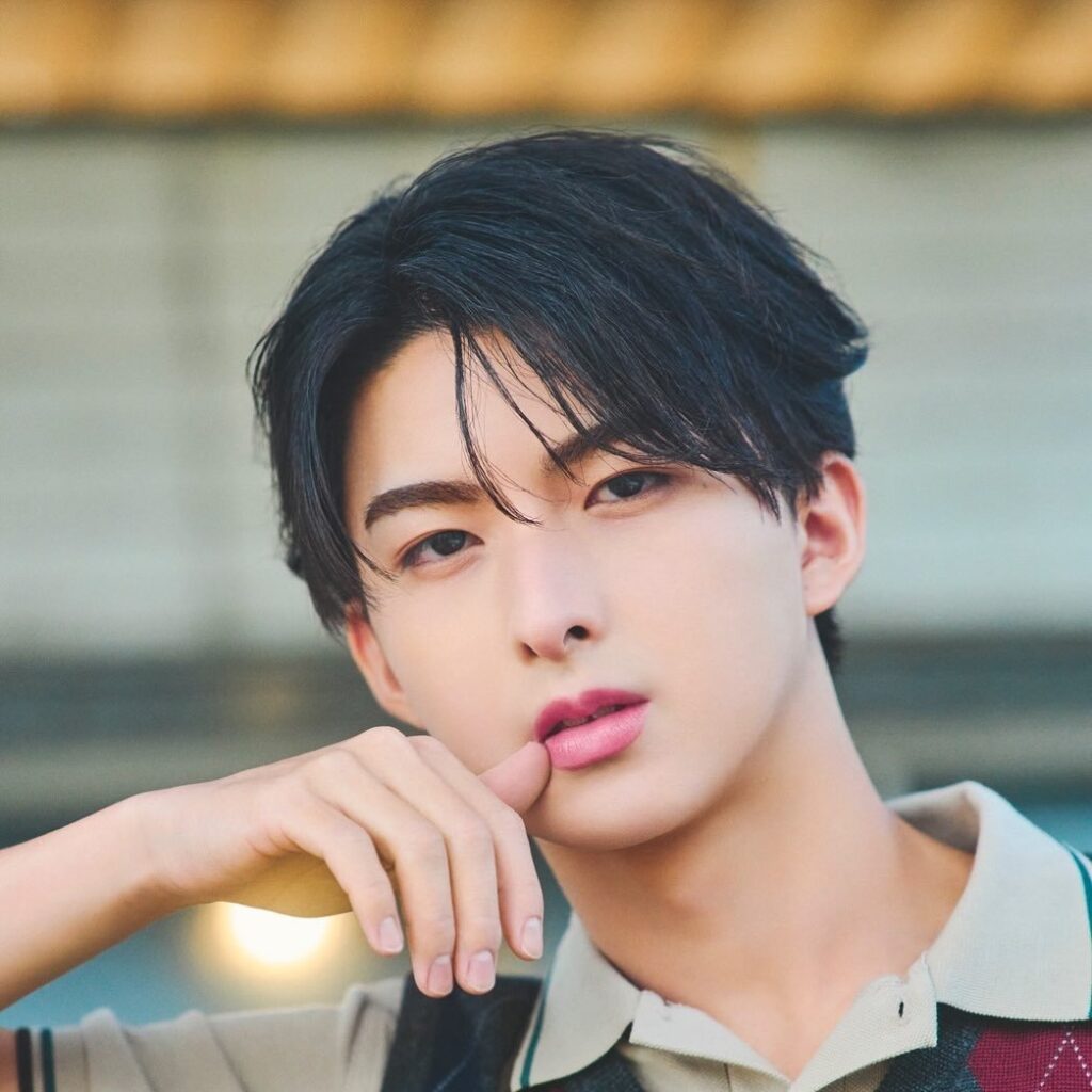 岸波志音　プロフィール