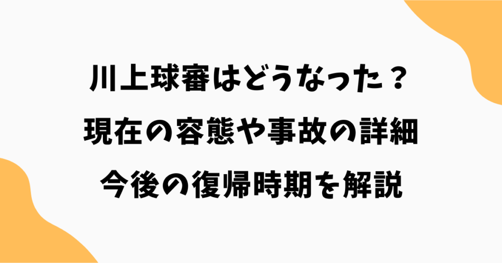 川上球審はどうなった？現在の容態や事故の詳細・今後の復帰時期を解説【2026最新】