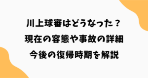 川上球審はどうなった？現在の容態や事故の詳細・今後の復帰時期を解説【2026最新】