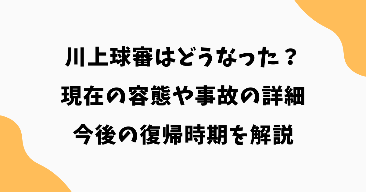 川上球審はどうなった？現在の容態や事故の詳細・今後の復帰時期を解説【2026最新】