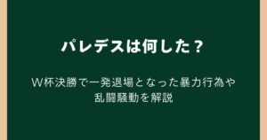 パレデスは何した？W杯決勝で一発退場となった暴力行為や乱闘騒動を解説