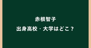 赤根智子の出身高校・大学はどこ？ICC所長の学歴がすごい！