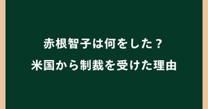 赤根智子は何をした？米国から制裁を受けた理由とICCでの活動