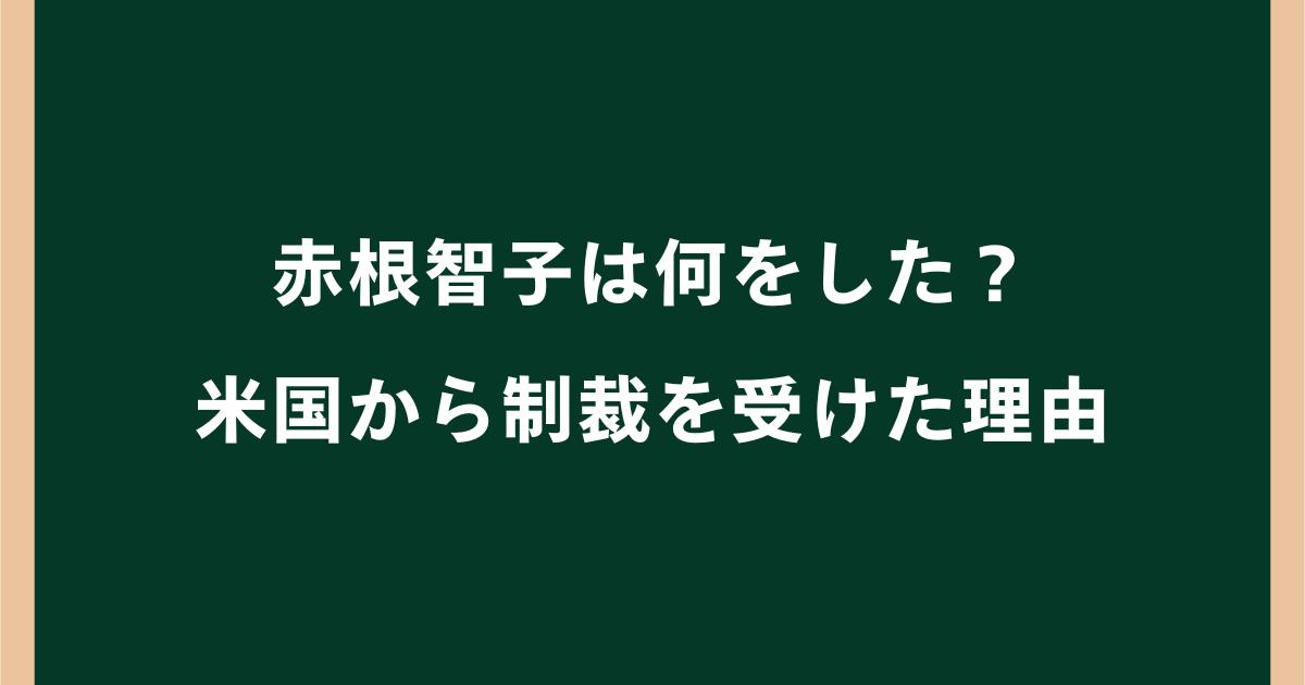 赤根智子は何をした?米国から制裁を受けた理由とICCでの活動