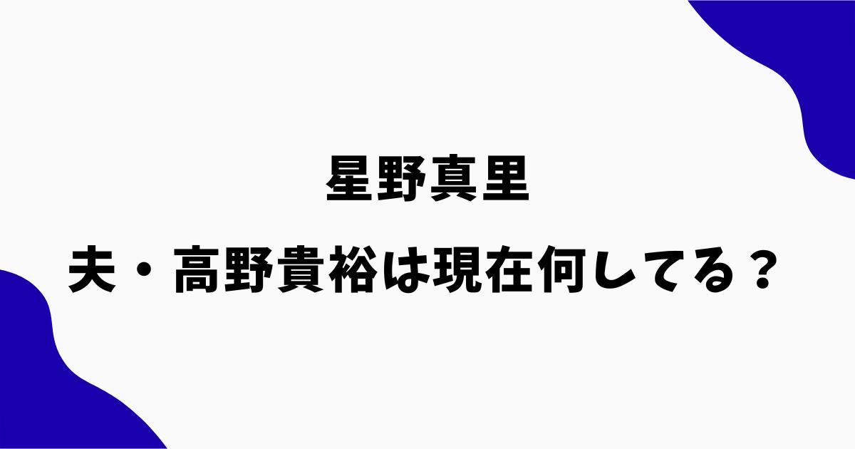星野真里の夫・高野貴裕は現在何してる?職業や都議選出馬を調査