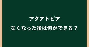 アクアトピアがなくなった後は何ができる？跡地の今後を調査