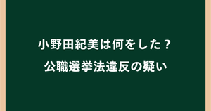 小野田紀美は何をした？公職選挙法違反の疑いを解説｜ヤミ選挙事務所疑惑