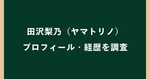 田沢梨乃（ヤマトリノ）は何者？プロフィールや経歴・年齢を調査
