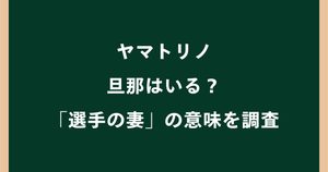 ヤマトリノに旦那はいる？結婚相手や彼氏・「選手の妻」の意味を調査